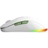 Мышь Acer OMR311 ZL.MCECC.034 Мышь Acer OMR311 ZL.MCECC.034