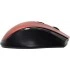 Мышь Acer OMR032 ZL.MCEEE.009 Мышь Acer OMR032 ZL.MCEEE.009