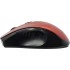 Мышь Acer OMR032 ZL.MCEEE.009 Мышь Acer OMR032 ZL.MCEEE.009